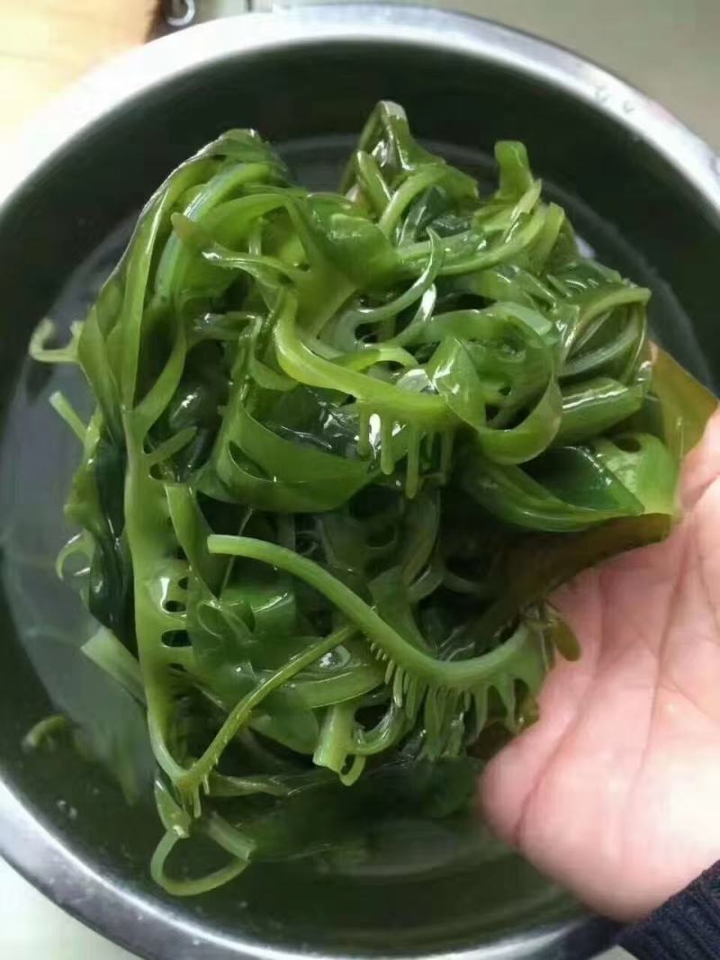鱼邦海藻沙拉裙带菜400克*20袋/箱，开袋即食