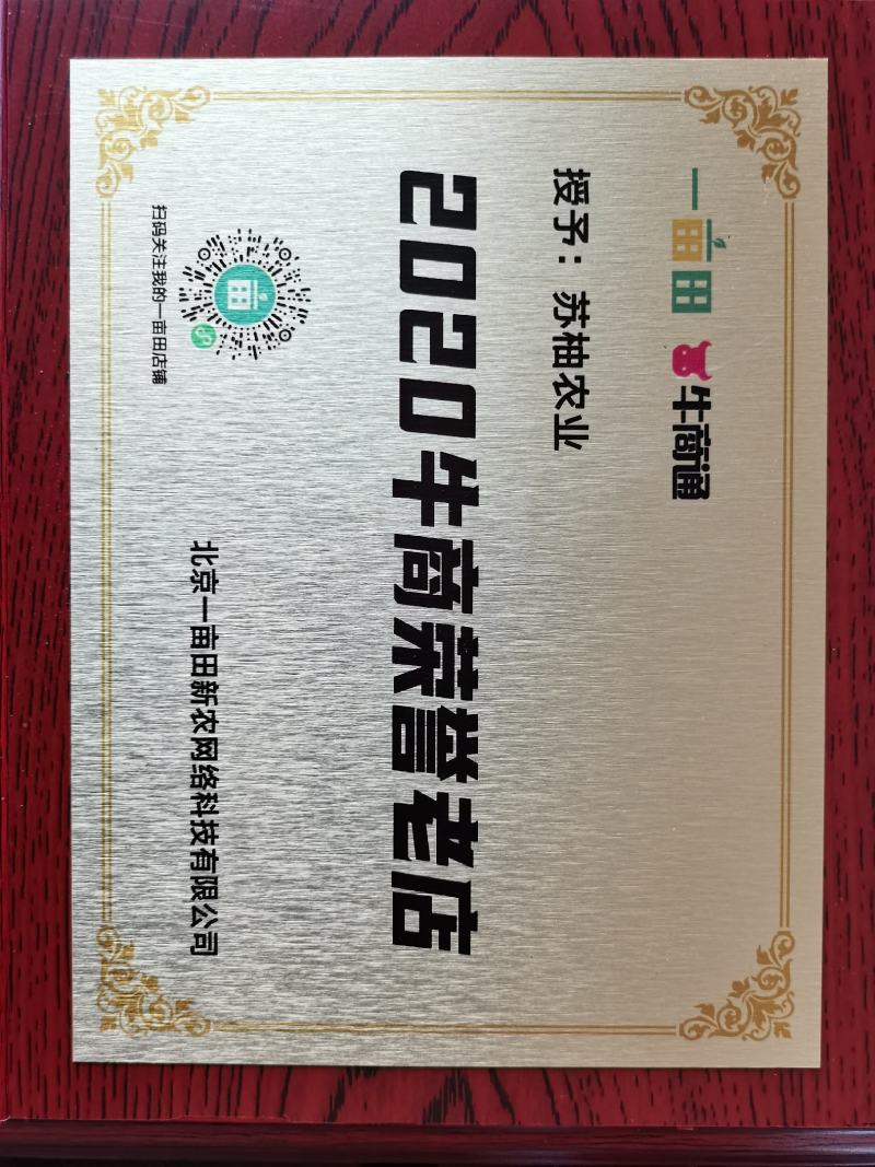 泰国红宝石青柚苗基地现货免费提供种植管理技术欢迎来参考