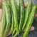 广西百色田东尾货线椒