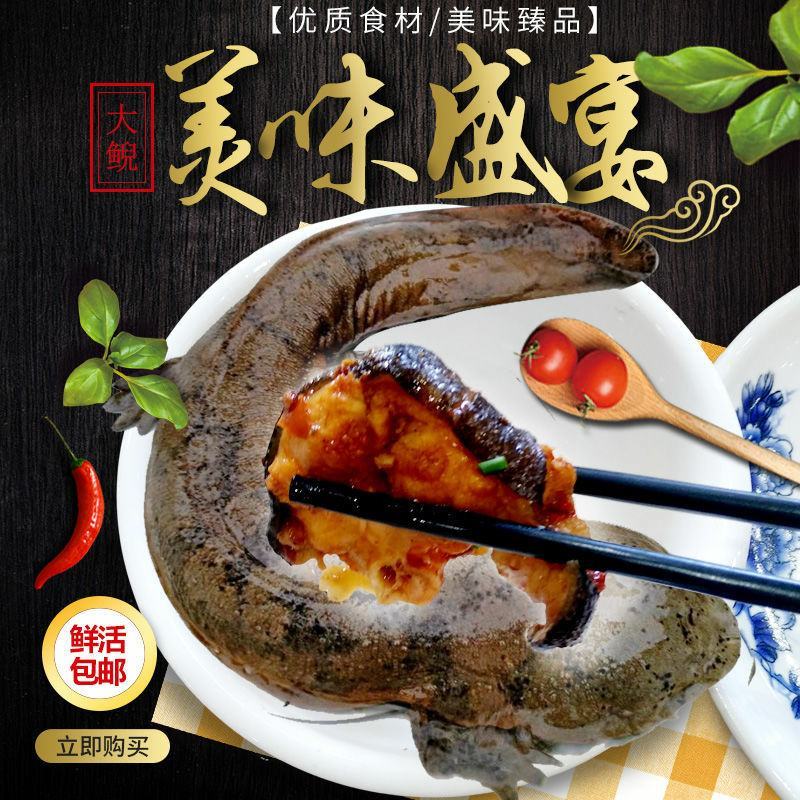 好货推荐特别推荐生态大鲵娃娃鱼活鱼月子餐汤营养丰富