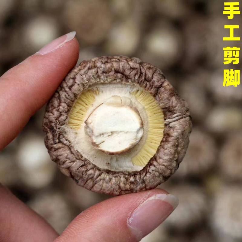 天然精选茶花菇，产地直销，优质货源，欢迎选购