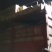 福建诏安海边沙地大棚辣椒黄皮尖椒螺丝椒
