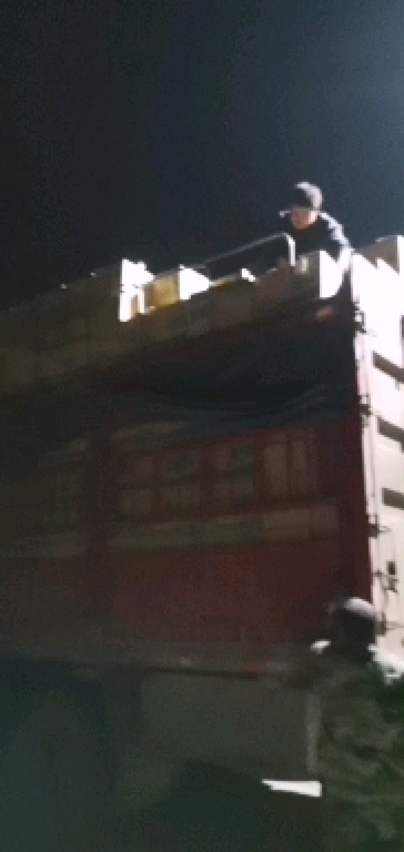 福建诏安海边沙地大棚辣椒黄皮尖椒螺丝椒