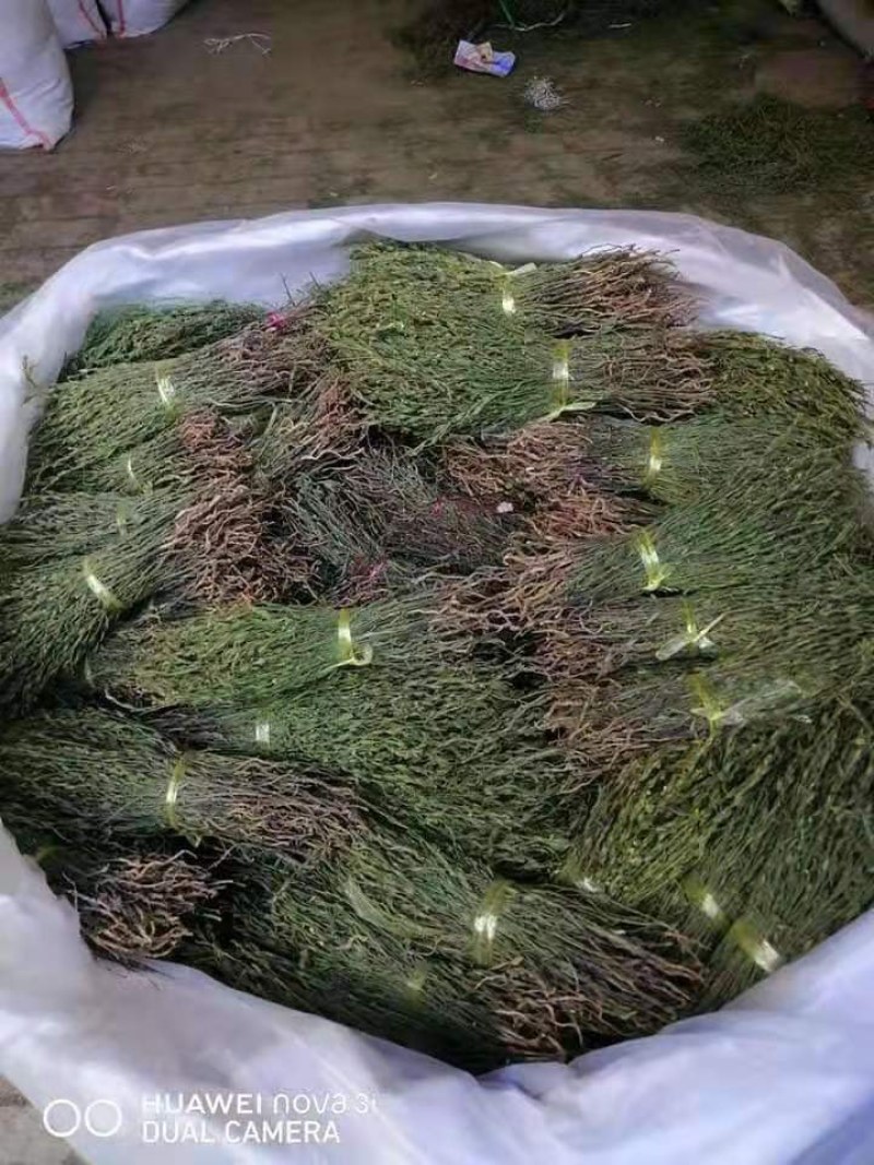 一手货源大货供应独脚金