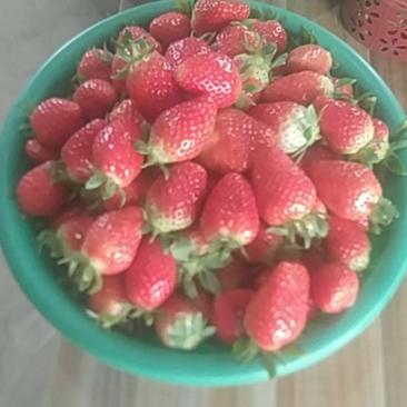 奶油草莓，精品草莓，鲜草莓