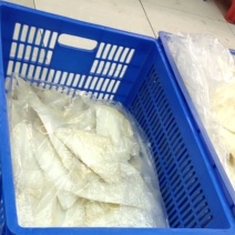各种鱼翅批发！欢迎光临！
