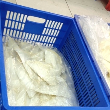 各种鱼翅批发！欢迎光临！