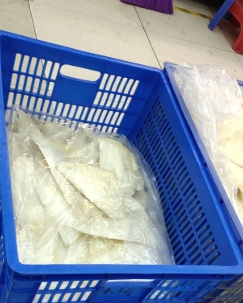 各种鱼翅批发！欢迎光临！