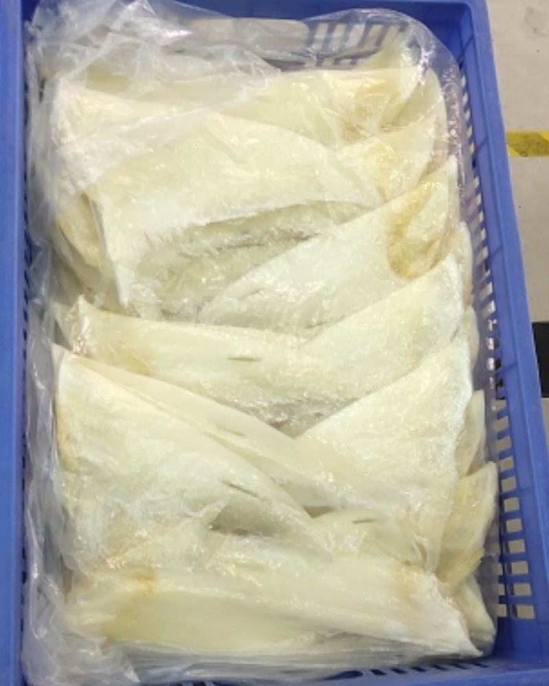 各种鱼翅批发！欢迎光临！
