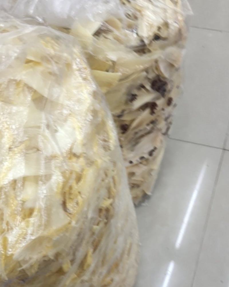 各种鱼翅批发！欢迎光临！