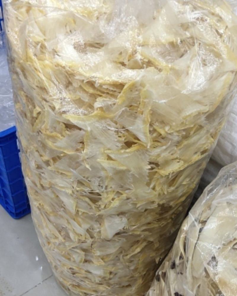 各种鱼翅批发！欢迎光临！