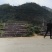 甘蔗基地直发欢迎采购欢迎采购欢迎采购欢迎采购欢迎采购欢迎