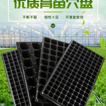 穴盘育苗盘多规格穴播苗木多肉叶插育苗盆量大批发更优惠