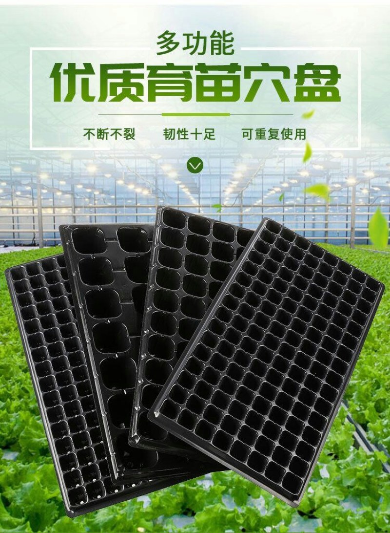穴盘育苗盘多规格穴播苗木多肉叶插育苗盆量大批发更优惠