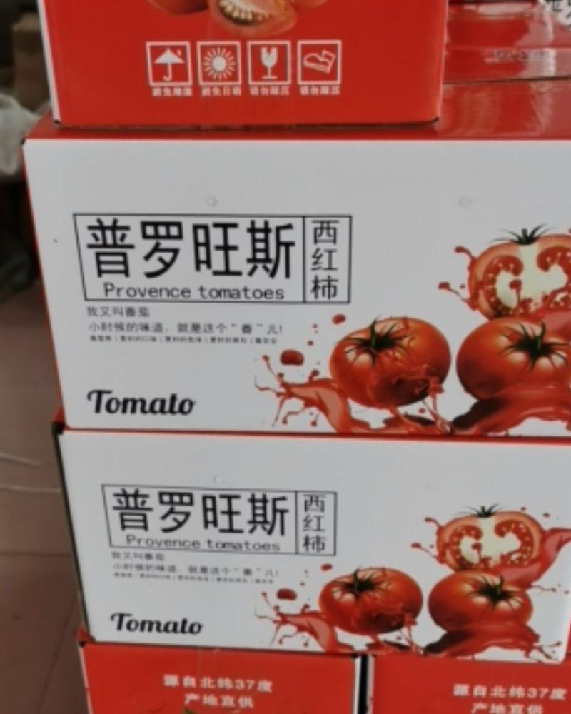 【热卖中】正宗海阳普罗旺斯西红柿，团购，品质有保障
