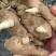 姜种,姜种代催芽,脱毒抗病毒产量高,全国发货质量保证