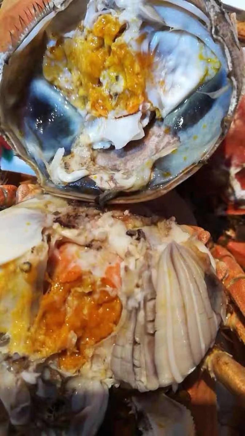 辽宁盘锦河蟹苗扣蟹苗，全母蟹毛蟹大闸蟹苗蟹苗成活率高