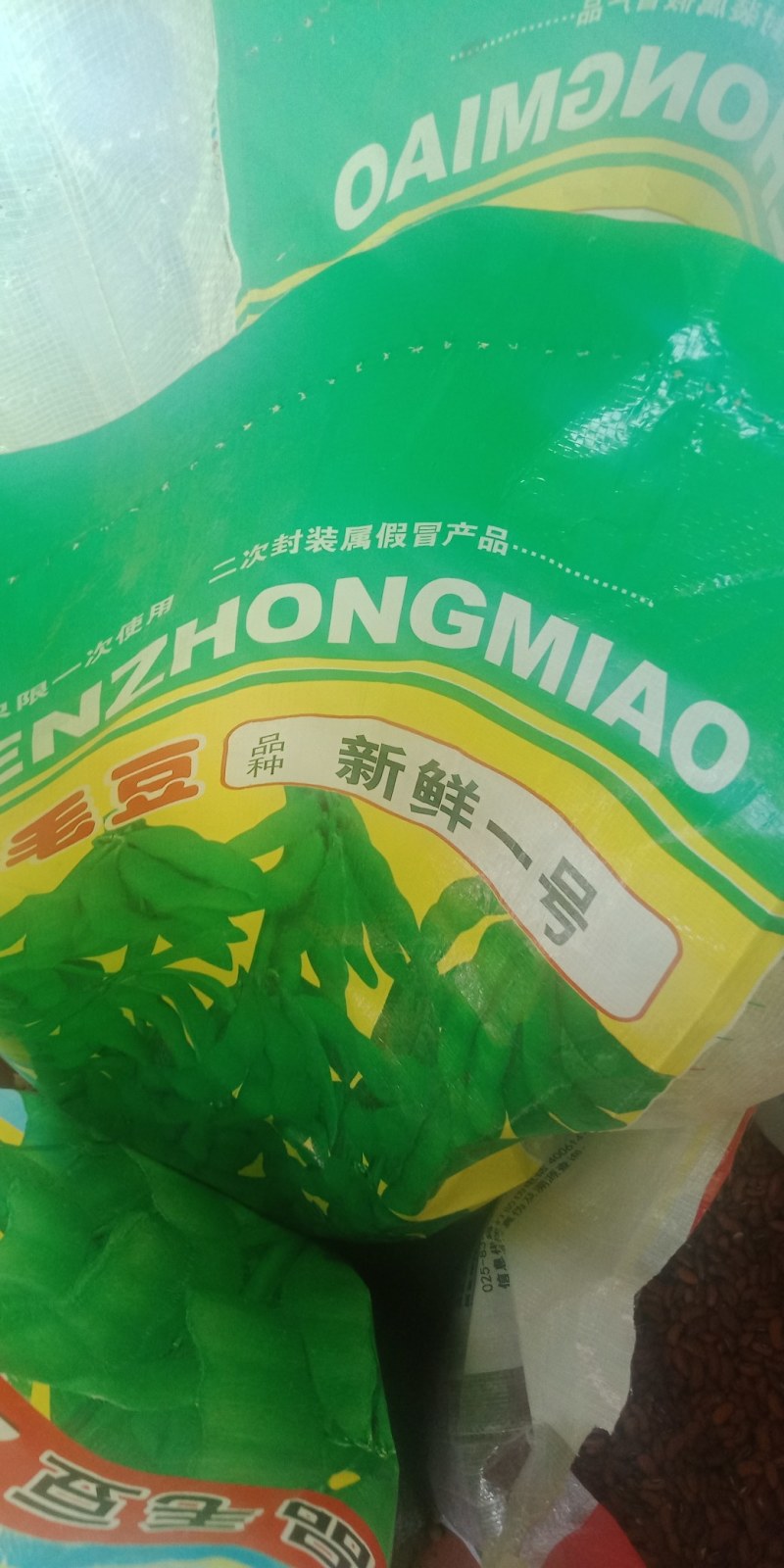 早中熟青毛豆种子大荚大粒高产抗倒伏鲜食口感好保鲜期长