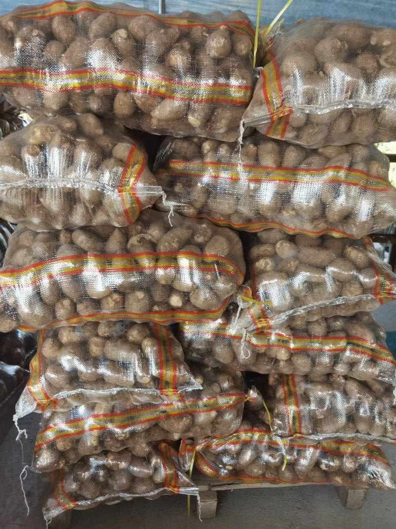 毛芋头，大量批发大中小规格齐全，全国发货