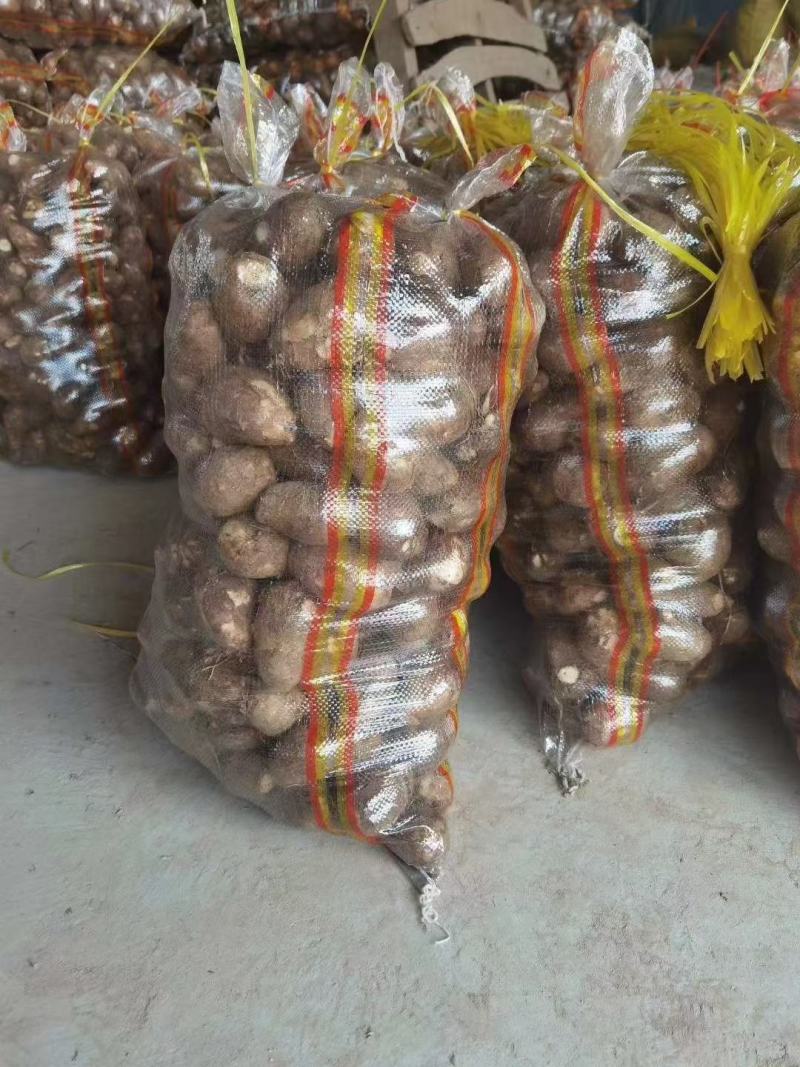 毛芋头，大量批发大中小规格齐全，全国发货