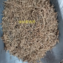 徐长卿山东正品无硫规格齐全一公斤起发货