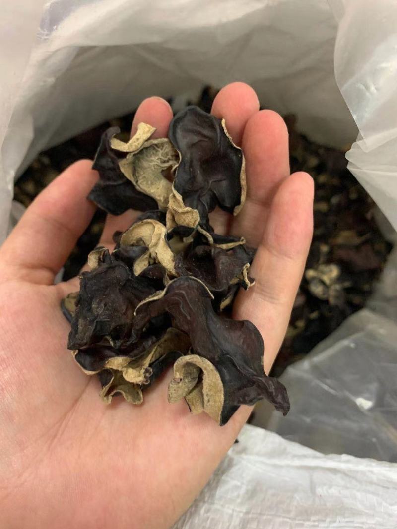 毛木耳一件50斤价格美丽