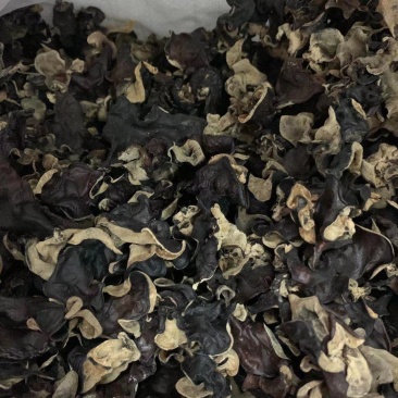 毛木耳一件50斤价格美丽