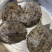 外塘冷水甲鱼团鱼脚鱼老鳖花公甲鱼包活品质高
