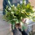 蟹爪兰蟹爪兰苗带根蟹抓兰仙人掌荷花室内绿植花卉大量现货