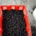 桑葚。精品桑葚水果。可以走市场。可以进酒厂3月15号上市