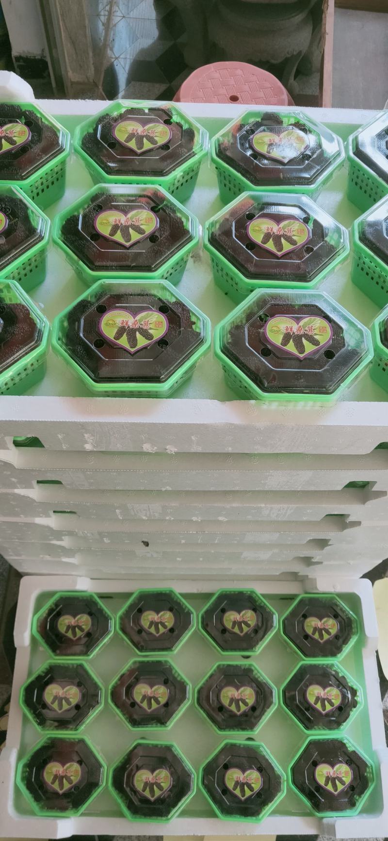 桑葚。精品桑葚水果。可以走市场。可以进酒厂3月15号上市