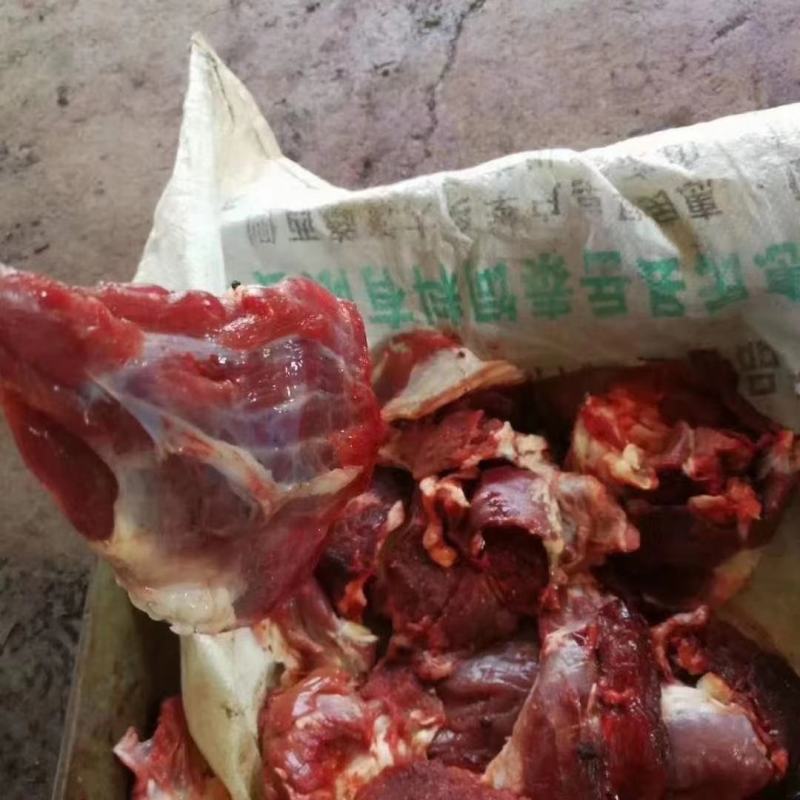 纯干牛肉块，常年出售量大价格优惠！