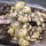 【电商货/市场货/商超货】小黄姜产地一手货源