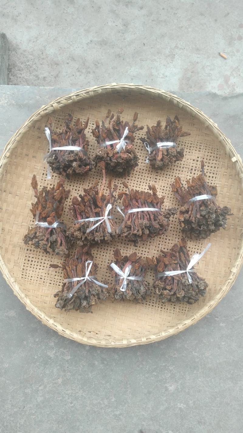 回春草，野生中药材，烘干货，本色无霉***，产地一手货源