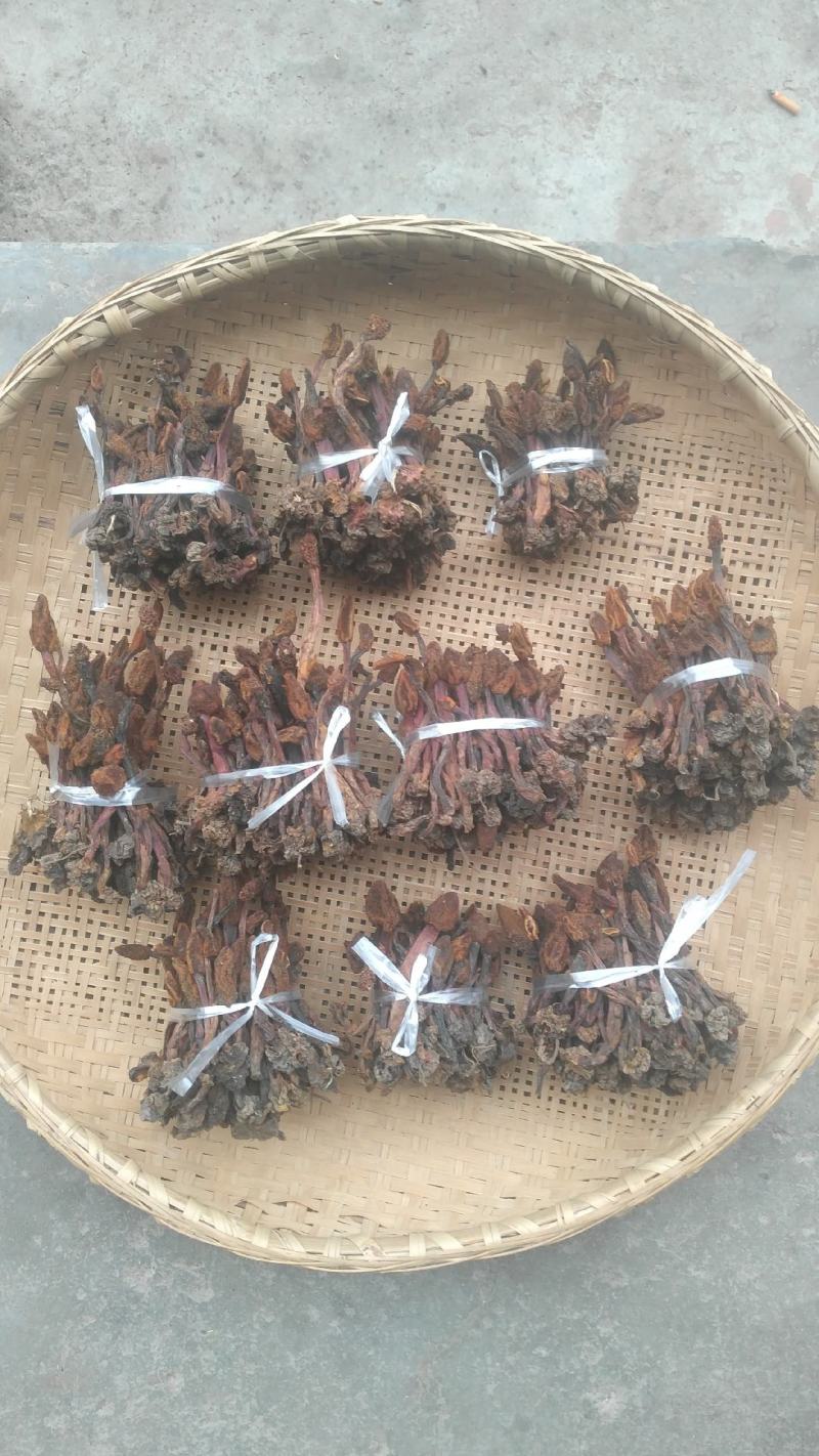 回春草，野生中药材，烘干货，本色无霉***，产地一手货源
