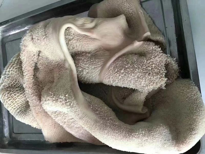 熟牛肚，半成品牛肚，客户可根据自己的的需求下订单