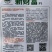 露地黄瓜种子优良品种新财富瓜条靓丽顺直品质好