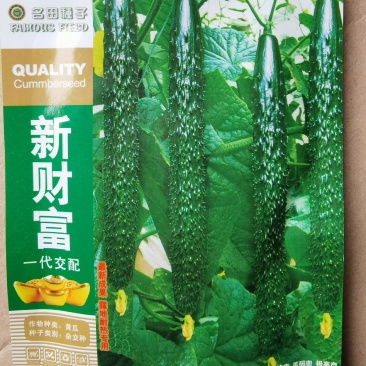 露地黄瓜种子优良品种新财富瓜条靓丽顺直品质好