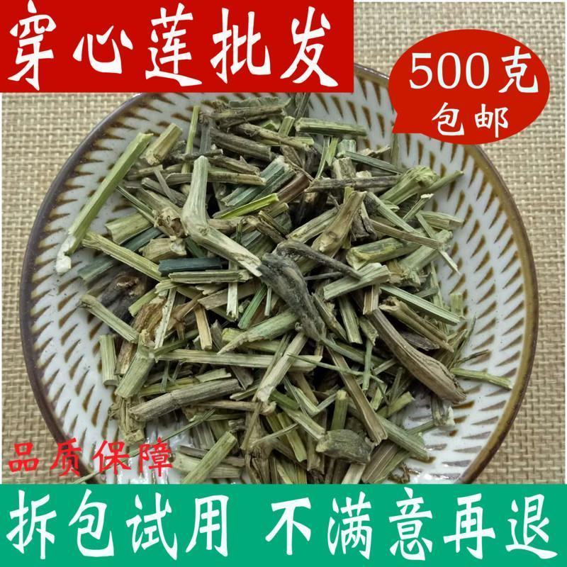 穿心莲包邮中药材店铺川心连野生苦胆草可磨穿心莲粉中草药