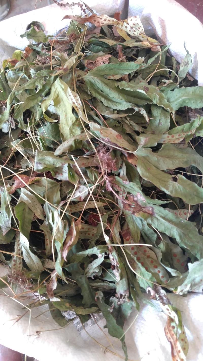 金鸡脚，别称鸭脚草、鸭跖草、金鸡爪，纯野生，色青足干货