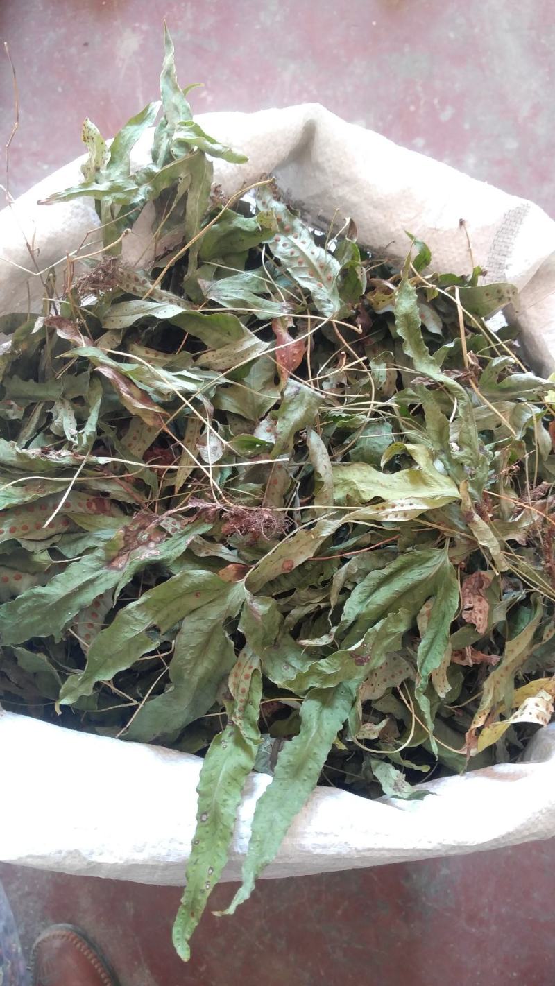 金鸡脚，别称鸭脚草、鸭跖草、金鸡爪，纯野生，色青足干货