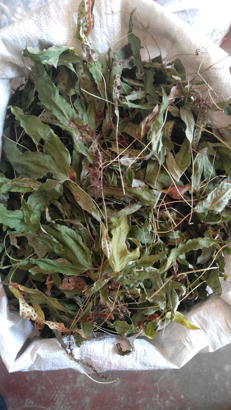 金鸡脚，别称鸭脚草、鸭跖草、金鸡爪，纯野生，色青足干货