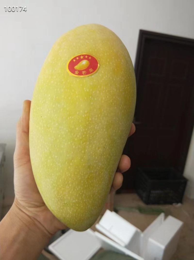 海南金煌芒【一件代发】电商平台微商代理社区团购实体落地配
