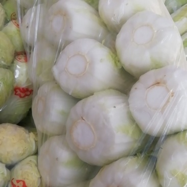 冷库娃娃菜谭家秦丰合作社