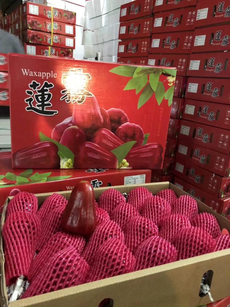 海南黑金刚莲雾【一件代发】电商平台微商代理社区团购落地配