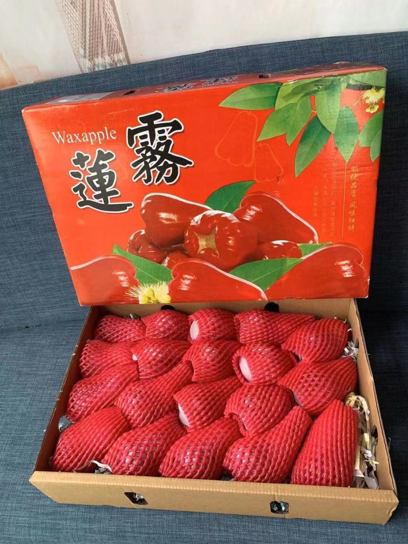 海南黑金刚莲雾【一件代发】电商平台微商代理社区团购落地配