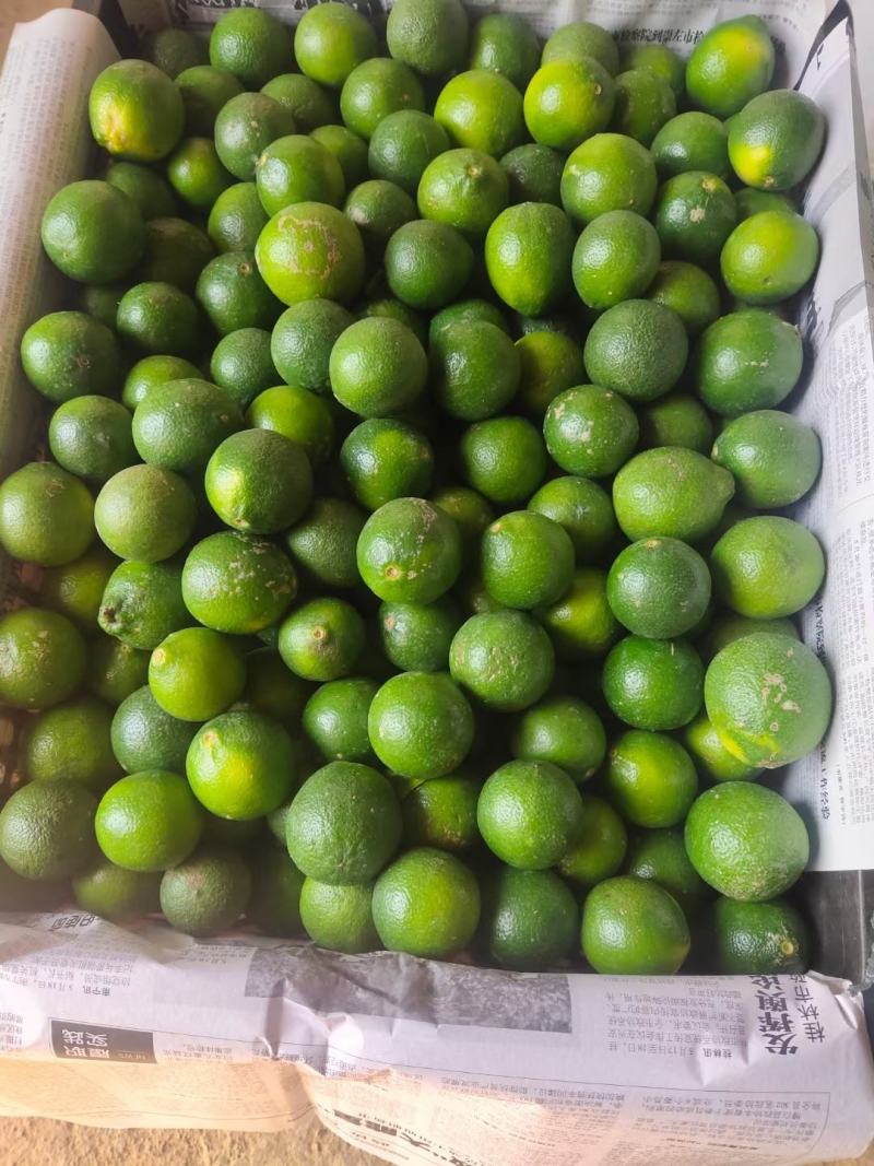 越南有籽柠檬，每天有量，价格详聊，可发全国
