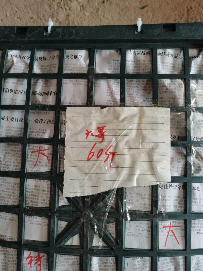 越南有籽柠檬，每天有量，价格详聊，可发全国