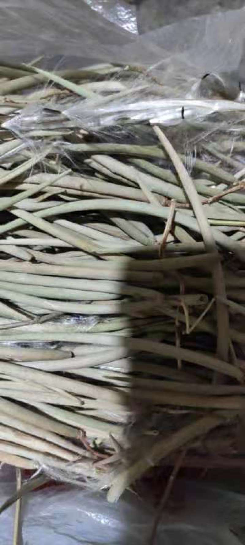 杠柳种子，产地质量有保障，芽率有保障。