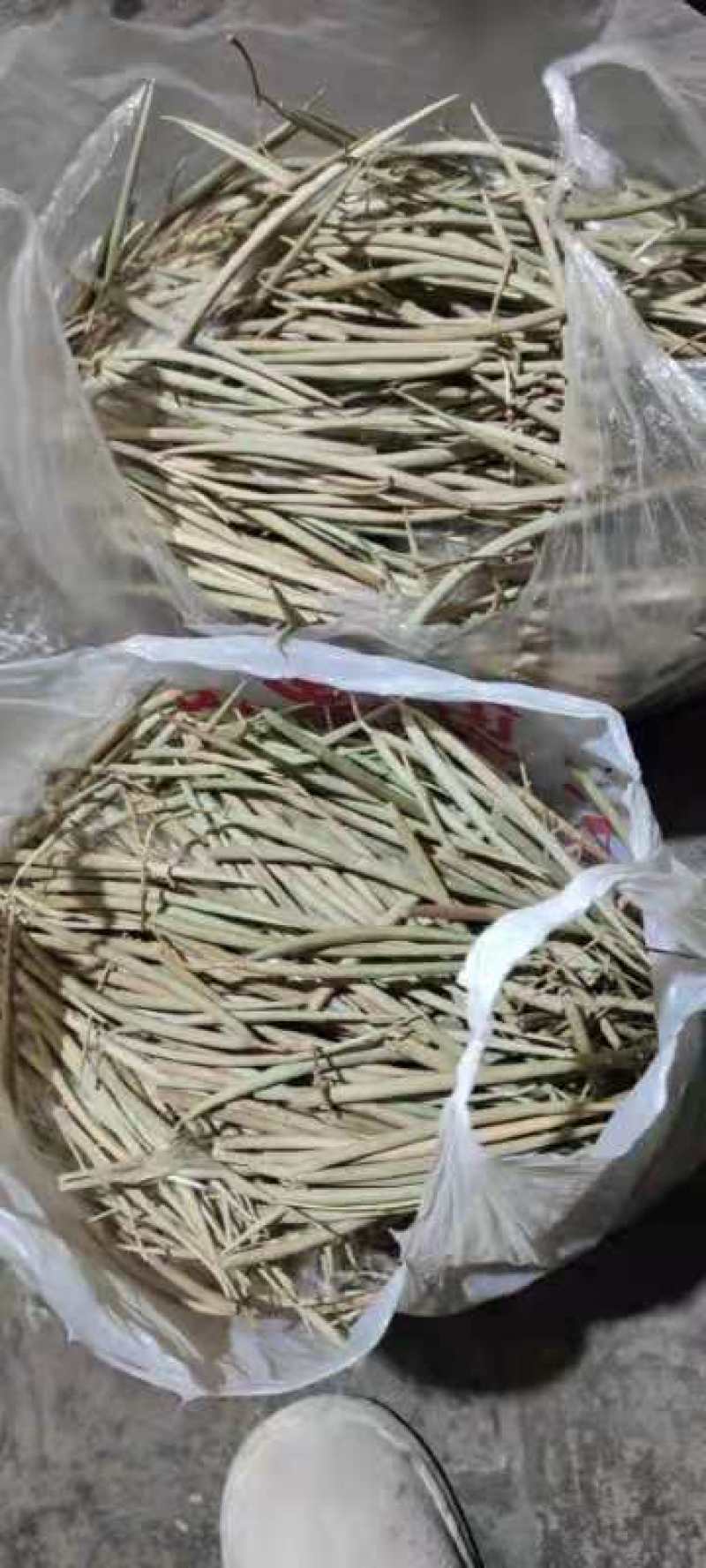 杠柳种子，产地质量有保障，芽率有保障。